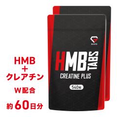 OO GronG HMB^ubg Tv NA`vX 540 ݌v 2܃Zbg