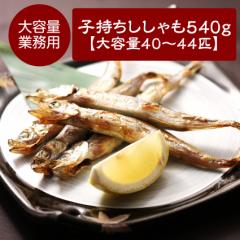 q ӂƂ540g 40-44C ٓ ͂ VV ⓀHi