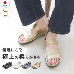 �T���_�� 3E ���L �O������ ���f�B�[�X �X�g���b�v �b�X�g���b�v �}�W�b�N�e�[�v �{�v ���v �W�r�G makuake �}�N�A�P  ���[�q�[��  ����