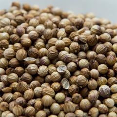 �R���A���_�[�V�[�h �u���E�� �����b�R�Y 50g �p�P�b�g�� Coriander Seed Brown Morocco ���^ ���n �X�p�C�X ������ �_�˃A�[���e�B�[