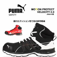 v[} SC FVeB2.0 Ռz ~bhJbg R^Cv JSAAKiA PUMA VELOCITY Xj[J[ nCJbgyz