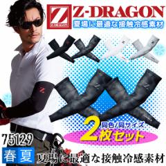 yz2Zbg A[Jo[ ڐG⊴ Z-DRAGON 75129 yFETCY 2gzz  ėp Xgb` t X|[c 