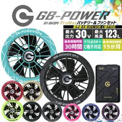 �y���������z���M�W���p�� �󒲕��p�i30V��p �t�@�����o�b�e���[�Z�b�g�jGB-POWER GB430PD GFX�y15�P�������O�ۏ؁z �}���[�d �󒲃E�F