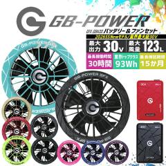 �y���������z���M�W���p�� �󒲕��p�i30V��p �t�@�����o�b�e���[�Z�b�g�jGB-POWER GB430 GFX�y15�P�������O�ۏ؁z �}���[�d �󒲃E�F�A 