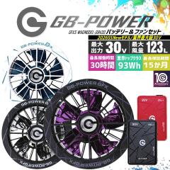 �y���������z���M�W���p�� �󒲕��p�i30V��p �t�@�����o�b�e���[�Z�b�g�j����J���[�t�@�����f�� GB-POWER GB430 GFX SWAGMODEL�y15�P��