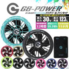 �y���������z���M�W���p�� �󒲕��p�i30V��p �t�@�����o�b�e���[�Z�b�g�jGB-POWER GB430XPD GFX�y15�P�������O�ۏ؁z �}���[�d �󒲃E�F