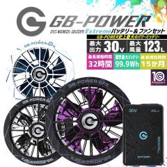 �y���������z���M�W���p�� �󒲕��p�i30V��p �t�@�����o�b�e���[�Z�b�g GB-POWER GB430XPD GFXS ����J���[�t�@�����f�� �y15�P�������O