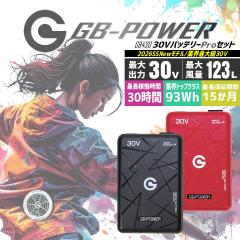 �y���������z���M�W���p�� 30V �󒲕��p �i30V��p �o�b�e���[�Z�b�g�jGB-POWER GB430 �o�b�e���[ �ȈՖh�� ���`�E���|���}�[�d�r 15����