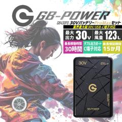 �y���������z���M�W���p�� 30V �󒲕��p �i30V��p �o�b�e���[�Z�b�g�jGB-POWER GB430PD �o�b�e���[ PROMAX �o�b�e���[ ���T�C�N���� ��
