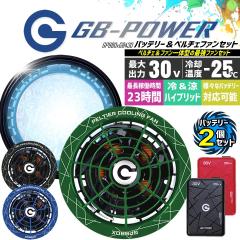 �y���������z���M�W���p�� ��p�y���`�F�t�@�� ��̌^ �i30V��p �y���`�F�t�@��1�Z�b�g���o�b�e���[2�Z�b�g�jGP980 GB430 GB-POWER 15��