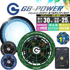 �y���������z���M�W���p�� ��p�y���`�F�t�@�� ��̌^ �i30V��p �y���`�F�t�@��1�Z�b�g���o�b�e���[1�Z�b�g�jGP980X GB430PD GB-POWER 1