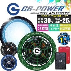 �y���������z���M�W���p�� ��p�y���`�F�t�@�� ��̌^ �i30V��p �y���`�F�t�@��1�Z�b�g���o�b�e���[1�Z�b�g�jGP980 GB430 GB-POWER 15��