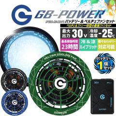�y���������z���M�W���p�� ��p�y���`�F�t�@�� ��̌^ �i30V��p �y���`�F�t�@��1�Z�b�g���G�N�X�g���[���o�b�e���[1�Z�b�g�jGP980X GB43