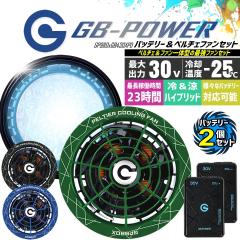 �y���������z���M�W���p�� ��p�y���`�F�t�@�� ��̌^ �i30V��p �y���`�F�t�@��1�Z�b�g���G�N�X�g���[���o�b�e���[2�Z�b�g�jGP980 GB430