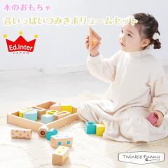 エドインター 森の遊び道具/音いっぱいつみきボリュームセット