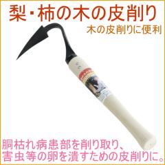 ���E�`�̖؂̔��� �i09335�j ���| �K�[�f�j���O �� �ʎ� �� ����� ��� �����S �t���� �Q�� �a�C