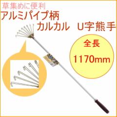 �A���~�p�C�v�� �J���J�� U���F�� �i10115�j �� ����� ���W�� ���� �N�}�f ���| �|�� ����� �y��