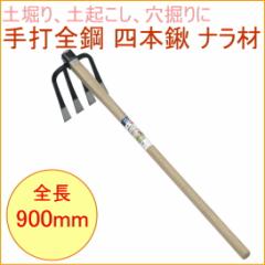 ��őS�| �l�{�L �i���� �i15310�j �ƒ�_�� �� �� ���� ���@�� �@�肨����