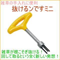 �������ł� �~�j �i29013�j ���| �K�[�f�� �K�[�f�j���O �ƒ�؉� �� �� ���Ƃ� ����� ������ ���� ���� �G�� �����