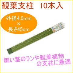 �ϗt�x�� 45cm 10�{�� �ϗt�A�� �ƒ�p �͔| �x�� ���A�� ���A �v�����^�[ �ȒP ��y �֗�