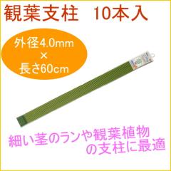 �ϗt�x�� 60cm 10�{�� �ϗt�A�� �ƒ�p �͔| �x�� ���A�� ���A �v�����^�[ �ȒP ��y �֗�