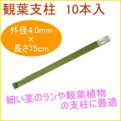 �ϗt�x�� 75cm 10�{�� �ϗt�A�� �ƒ�p �͔| �x�� ���A�� ���A �v�����^�[ �ȒP ��y �֗�