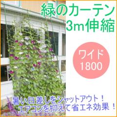 �L�k���΂̃J�[�e���@3m�@���C�h1800�@���|���^�C�v�@ ���| �K�[�f�j���O �ƒ�؉� �� �O���[���J�[�e�� �΂̃J�[�e��