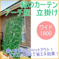 �L�k���΂̃J�[�e���@�A�[�`�^�@���C�h1800�@���|���^�C�v�@���| �K�[�f�j���O �ƒ�؉� �� �O���[���J�[�e��