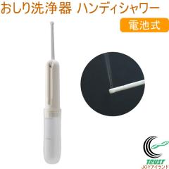 ��������� �n���f�B�V�����[ PW-100 ��������� �P�A ������ ���K ��� �|�[�^�u�� �g�� �֗� �C�O���s �o�� �A�E�g�h�A �Ԃ���� 