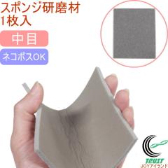 �X�|���W������ ���� ��120�`��180���� 1���� �l�R�|�X�Ή� ���� ���ꗎ�Ƃ� �V���N ����� �T�r �T�r���Ƃ� �L�b�`�� �؍H�i