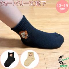 �����̎q���C�� �p���ǂ�ڂ� �V���[�g�N���[�� 13-19cm 1�� ���K�i �l�R�|�X�Ή� ���� �L�b�Y �\�b�N�X �C�� �j�̎q ���̎q ���� fukusu