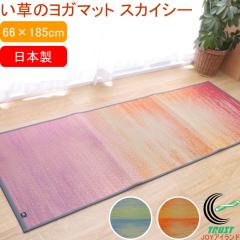 �����̃��K�}�b�g �X�J�C�V�[ 66�~185cm �������� ���{�� ���Y �R�� ���L �h�L �C���e���A�}�b�g ���ׂ�ɂ��� �􃈃K