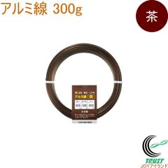 �A���~�� �� 300g 1�� ���{�� ���C���[ �j�� �A���~ ���F �u���E�� ��| �΍茕�R���쏊