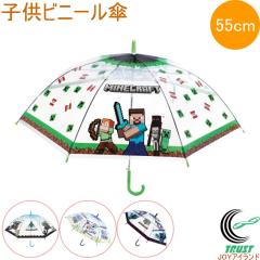 �q���r�j�[���P Minecraft 55cm ���� �P �r�j�[���P �J�� �J�P �N���A �����^�b�`�^�C�v 8�{�� �L�����N�^�[ �}�C�N�� �}�C���N���t�g Mi