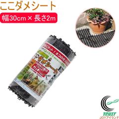 �����_���V�[�g 30cm�~2m���� �l�R���� �L �Ԓd �؉� �v�����^�[ �� �� �x�����_ ���� �h�b�p�i ����p�i �g�Q �ȒP