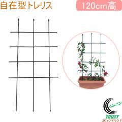 ���݌^�g�����X 120cm �K�[�f�j���O �ƒ�؉� �g�����X �t�F���X �x�� �͔| �v�����^�[ �g���ȒP ���� �ǖ� �����A��