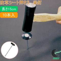 �h���V�[�g������ �y�B ����15cm 10�{�� ���| ���|�p�i �� �� �Y �_�Ɨp���� �h���V�[�g ������ �B �ȒP �֗�