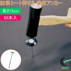 �h���V�[�g������ �y�B�A���J�[ ����15cm 50�{�� ���| ���|�p�i �K�[�f�j���O�p�i �� �� �Y �_�Ɨp���� �h���V�[�g ������ �Œ�s�� �Œ�