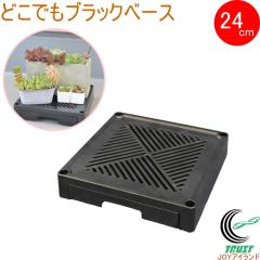 �ǂ��ł��u���b�N�x�[�X 24cm �r���g���C�t 1�� �������� ���{�� 24�~24�~5cm �t�����[�X�^���h �X�^���h �l�p �u���b�N �� ���A���� ��