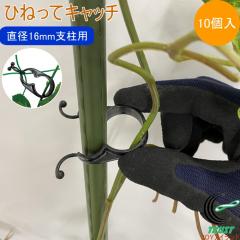 �Ђ˂��ăL���b�` 10�� ���a16mm�x���p ���| �K�[�f�j���O �ƒ�؉� �؉� �ƒ�_�� �� �� �ƒ�p �x�� �͔| �� ��� �h�~ ����� ��