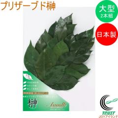 �v���U�[�u�h��� 1�� KT-003 ���{�� �� ������ �v���U�[�u�h���H 2�{�g �_�I �_�� ������ ������ ����p�i �ƒ�p�i 