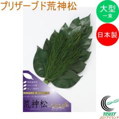 �v���U�[�u�h�r�_���� 1�� KT-004 ���{�� �� ������ �v���U�[�u�h���H 1�� �r�_�� �_�I �_�� ������ ������ ����p�i �ƒ�p�i 