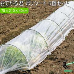 ���Ă���N �|���V�[�g 75cm�~2.1m�~40cm 5�Z�b�g ���| ���|�p���� �؉� �_�Ɨp���� �x�� ���|�p�x�� �V�[�g �|���V�[�g ��̉� �͔| 