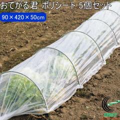 ���Ă���N �|���V�[�g 90cm�~4.2m�~50cm 5�Z�b�g ���| ���|�p���� �؉� �_�Ɨp���� �x�� ���|�p�x�� �V�[�g �|���V�[�g ��̉� �͔| 