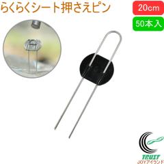 �炭�炭�V�[�g�������s�� ����20cm 50�{�� ���| �� �� �Y �h���V�[�g �V�[�g�Œ� ������ �s�� U�s�� �ȒP �֗�