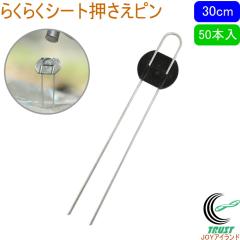 �炭�炭�V�[�g�������s�� ����30cm 50�{�� ���| �� �� �Y �h���V�[�g �V�[�g�Œ� ������ �s�� U�s�� �ȒP �֗�