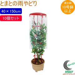 �Ƃ܂Ƃ̉J��ǂ� 10�Z�b�g ���| ���|�p���� �؉� �_�Ɨp���� �͔| ���n �ƒ�؉� �� �_�� �ʕ� ��� �Ƃ܂� �g�}�g �J�悯 �x�� �V�[