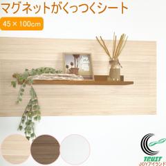 �}�O�l�b�g���������V�[�g �ǎ��V�[�g�Z�b�g 45�~100cm 1�� ���{�� �ǎ��V�[�g �}�O�l�b�g ���� �ǖʎ��[ �� �A�����W DIY �ȒP �①��