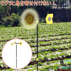 �X�[�p�[�Ƃ胂�O���L���L���[ EG-76 ���O�� �� ���b�Q�΍� �ǂ����� �v���y�� ���� �U�� �g���� �� ���R