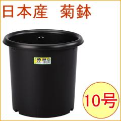 �e�� 10�� �u���b�N 16�� ���{�� �P�[�X�o�� ���| �K�[�f�j���O �K�[�f�� �� �A�ؔ� �͔| �v���X�`�b�N